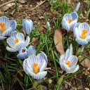 2013年4月16日（火）