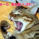 4月16日の日記