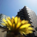 オカアサン、マンションの谷間で愛を叫ぶ　“・・・”　の巻