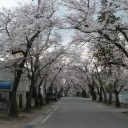 昨日の暖かさで