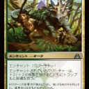 アルマジロ　(「・ω・)「がおー