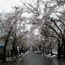 今朝の窓の外の様子