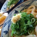 働く自動車・野良猫、そしてう丸亀製麺　“さらばうさぎ”　の巻