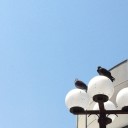 金曜　〓本と探しものと〓