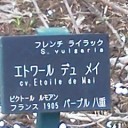 偶然の一致。