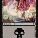[MTGのあいまにボドゲ普及]　髑髏と薔薇