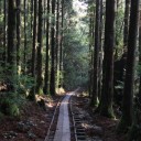 鹿児島旅行　2日目