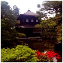 どっちの寺でSHOW