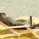 4月30日の日記