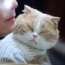 まさかのにゃらん越え（笑）