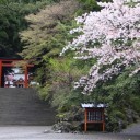 鹿児島旅行　4日目
