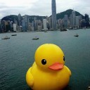 ラバーダックちゃんが香港にやってきた