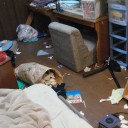 部屋きれいにした