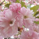 いざ行かん　“ゴトウくんとオカアサン”　の巻