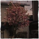 やっと