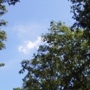ライヴ明けの月曜なのに