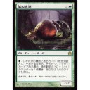 漁る軟泥