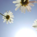 私が見上げた団地の空　“毒気の抜けたただの凡人、以下”　の巻