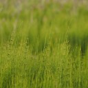 2013年5月18日の日記