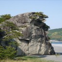 獅子は大海に吼える