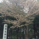 きっと誰よりもはやいジムチャレポ　　