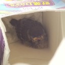 訳あって