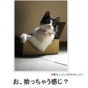5月22日の日記