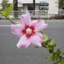 無事に？終了〜
