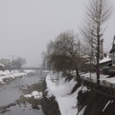 朝の散策