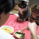 5月28日の日記