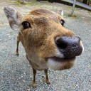 5月30日の日記