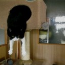 5月30日の日記