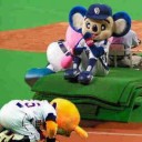 こんしゅーまつのよてー