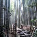 報国寺行ってきた