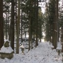 朝の墓場