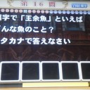 【QMA】漢字・四字熟語検定。