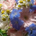 結婚記念日は虫歯予防デー( ´∀｀)