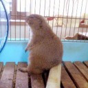 足疲れた