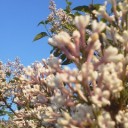 6月8日の日記