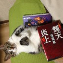 ネコちゃんず971日目