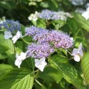 2013年6月9日の日記