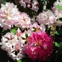 2013年6月11日（火）