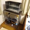 6月14日の日記
