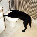 6月14日の日記