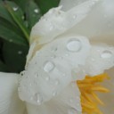 2013年6月14日（金）