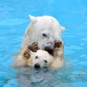 円山動物園