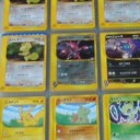 ファイルの中にはカクレオンが４枚！？