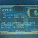 ファイルの中にはカクレオンが４枚！？