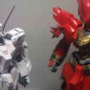 今日の… (6/17-2013)