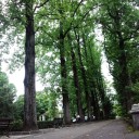 公園ランチ２０１３夏　“嗚呼、姦し女子会”　の巻